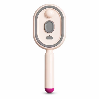 Electric Steam Hair Brush