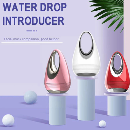 Facial Beauty Instrument