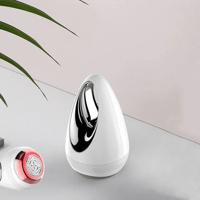 Facial Beauty Instrument