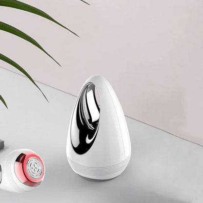 Facial Beauty Instrument